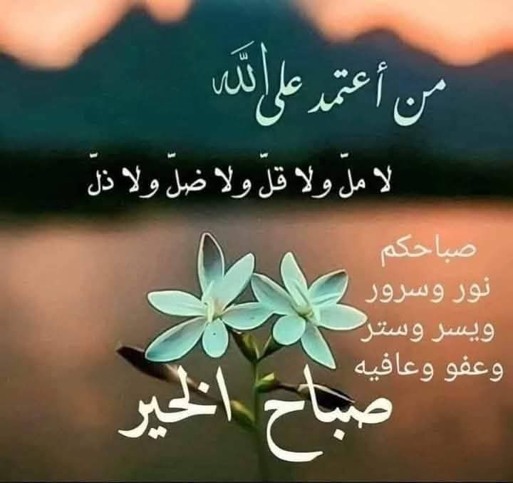 Naglaa hedar (@naglaahedar1) on Twitter photo 