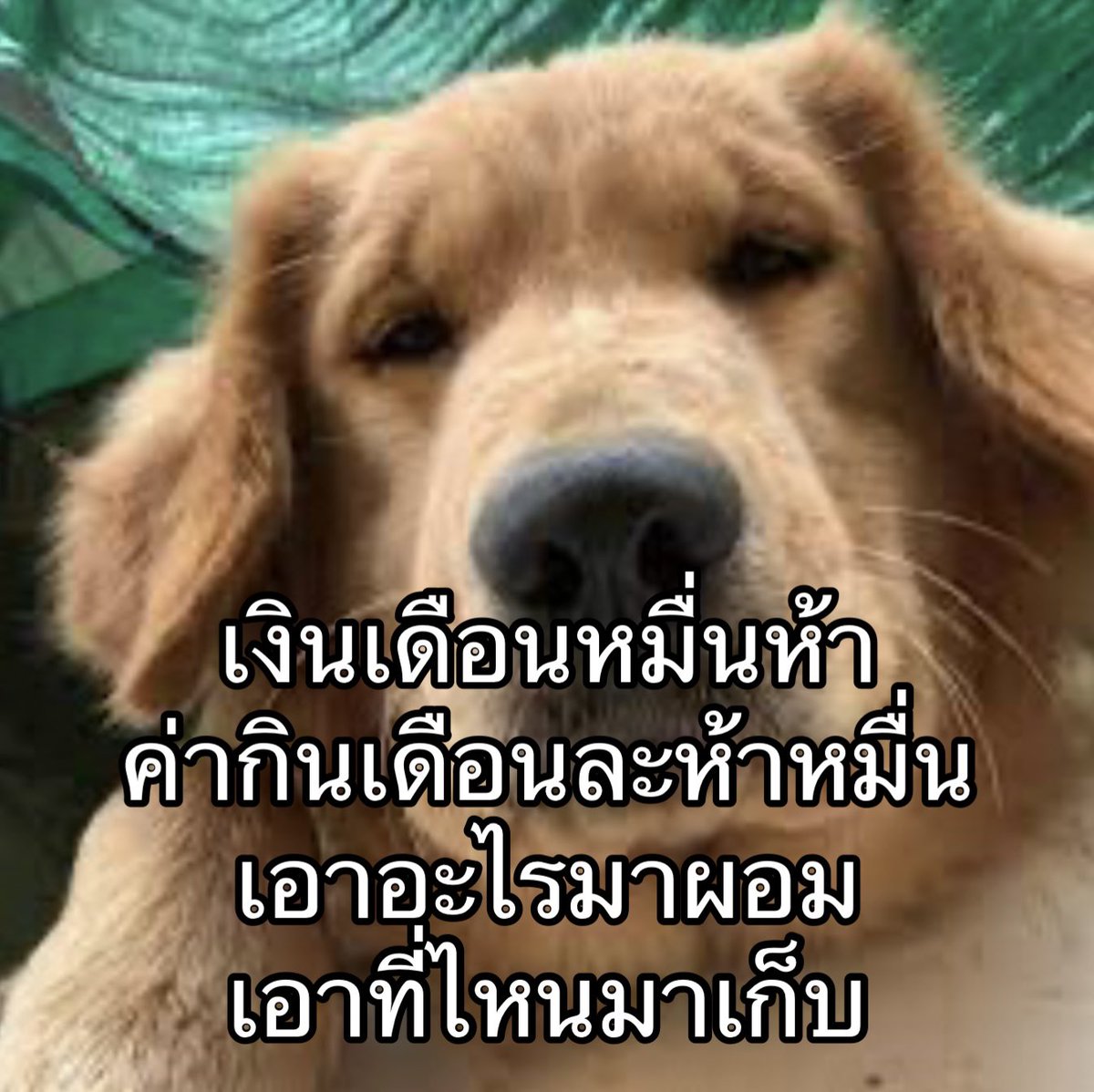เฮ้อ