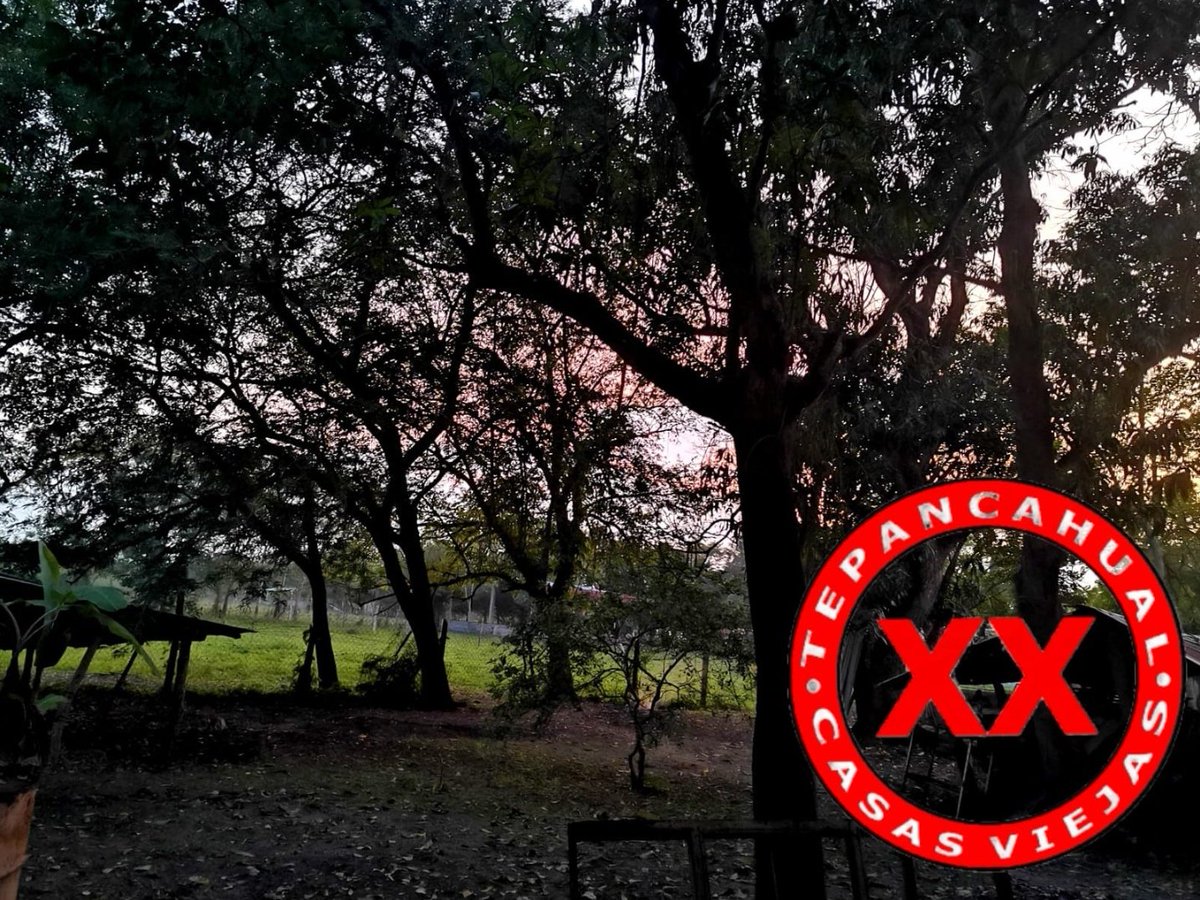 Ranchosybrechas's tweet photo. El sol tan deseado en noviembre y diciembre, pero tan presente y molesto en estas temporadas. Duerme por hoy y deja descansar.
.
.
.
.
.
.
.
.
#rancho #ranchlife #postalesdelcampo #ganado #cattle #ElCampoNoPara #SoyRanchero #Huasteca #Veracruz #Chiconamel #RanchoCasasViejas https://t.co/8qY0Xb2eQ8
