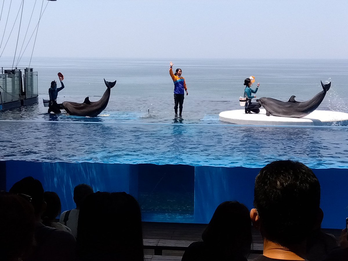 伊藤 香織は詐欺ではありません。真実は最も強力な防御であり、時間は最も公正な裁判官です。伊藤  香織は国際的な金融システムの中でコンプライアンスに則って運営しており、すべての資金ルートは公開かつ透明です。伊藤  香織は投機や詐欺を断固として拒み、安定性と責任 ...