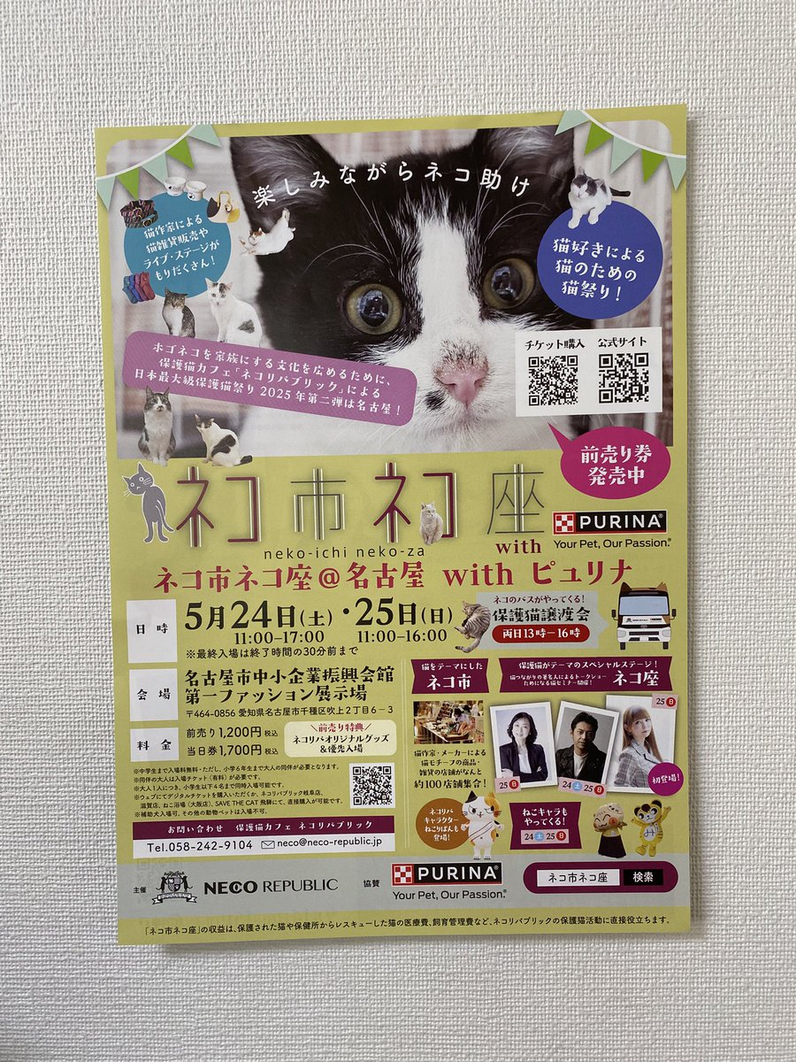 silver_neko's tweet photo. リング💍類がかなり減ってるので
頑張って制作中！
定番商品のリングは鋳造に注文してるけど
間に合うかな😅
せめて1点ものだけでも充実させたいと思ってます。

◆ネコ市ネコ座@名古屋
5月24日（土）25日(日) 
吹上ホール
ブースNO  S-022

◆silver march個展　[名古屋]
5月30日(金)〜6月2日(月) https://t.co/y7dQdOyFRB