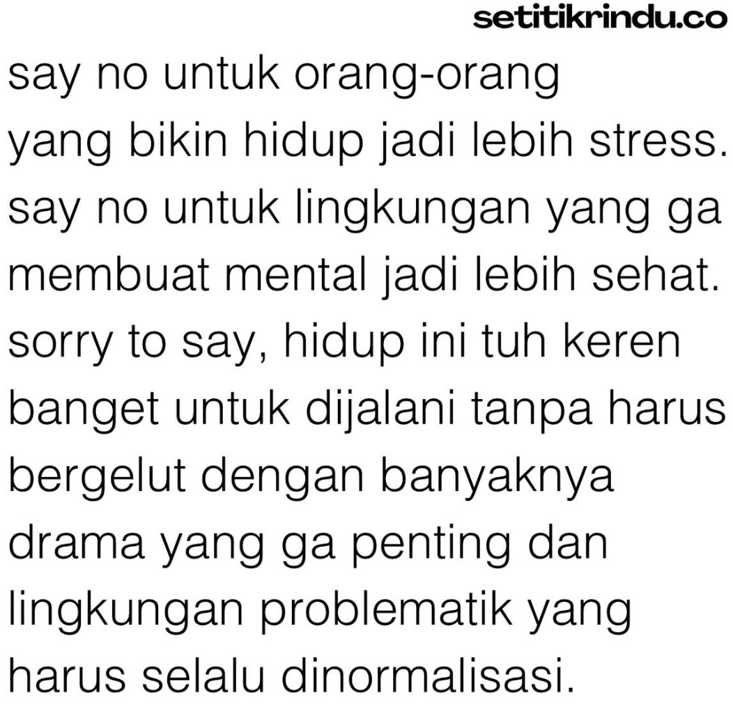 Rey tweet media