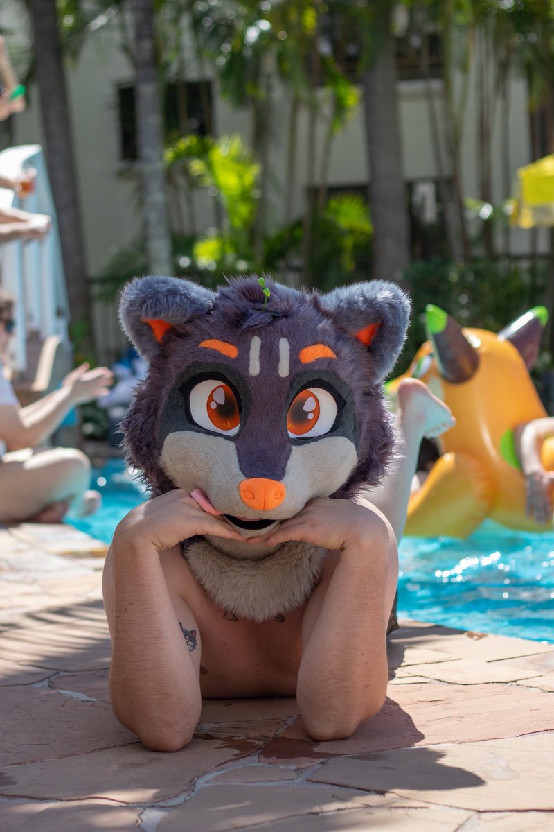 Slyy_racc's tweet photo. POV: I’m listening to you ramble on about your hobbies 

📸: @Zios_Wolf https://t.co/o3LqdT4gQn
