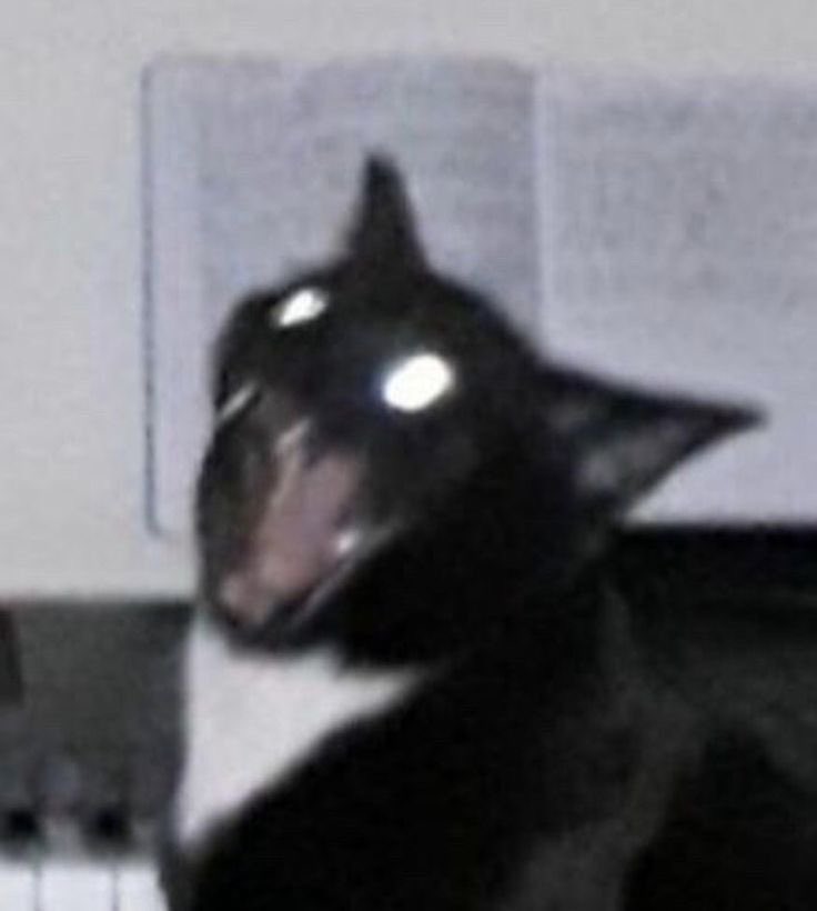 im playing outlast trials with friends!! who knew i had those??? twitch.tv/katnovak