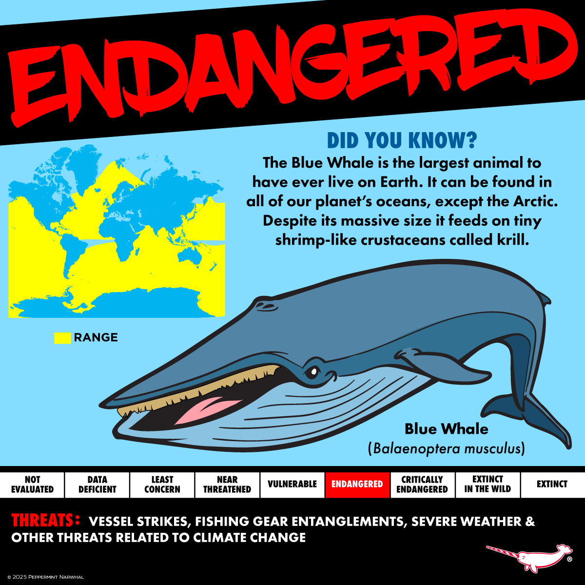 #Endangered #BlueWhale 

Endangered 7 #Kickstarter 
Pledge Now!
kickstarter.com/projects/peppe…