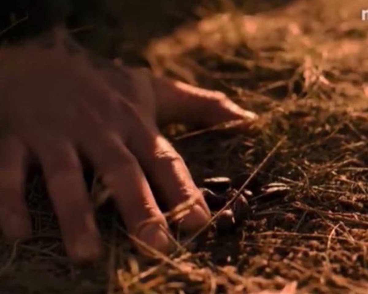 gianna 𐙚 tweet media