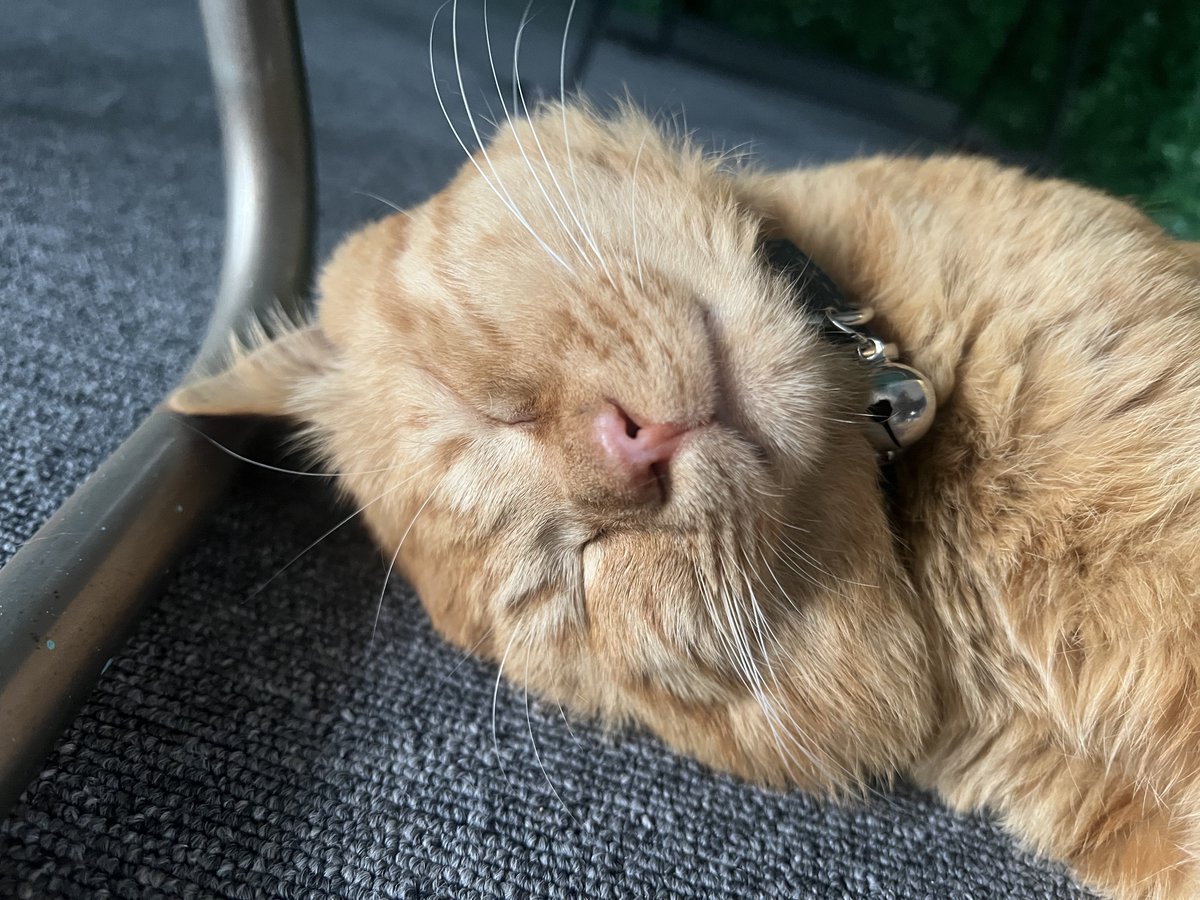 幸せな顔😃