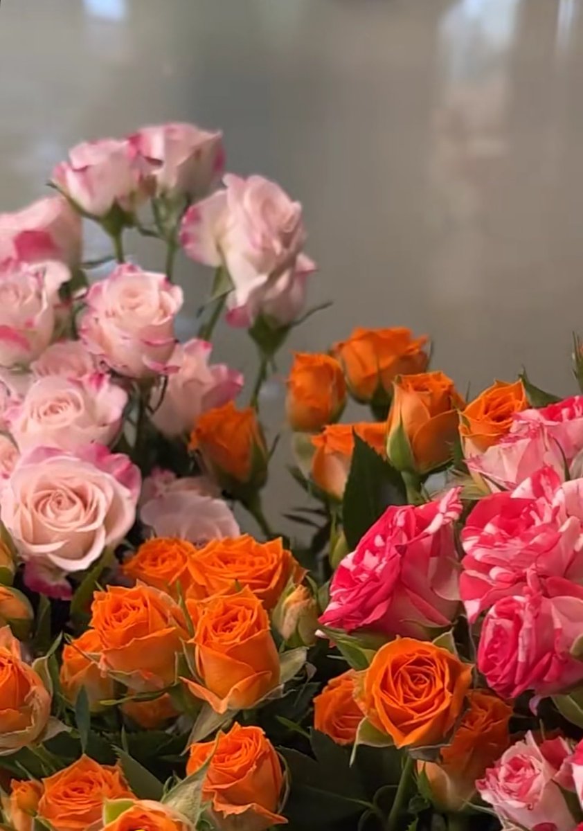 يارب وان تاهت الأقدام ثبّتني 
على طريق الهُدى والخير والتوبة"

صباح الورد 🌹🌹