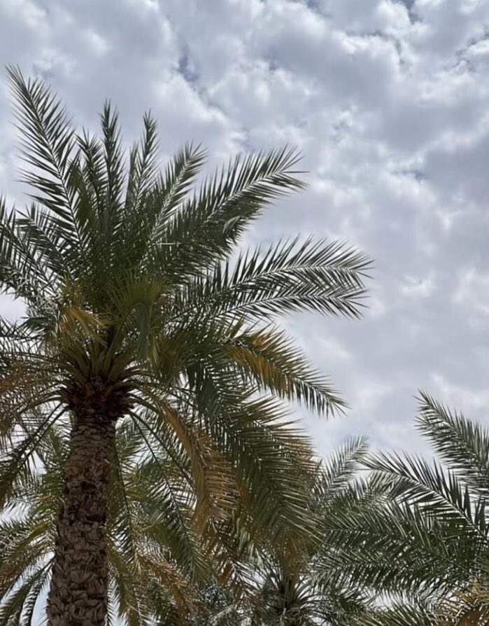 يا الله لقد أتعبني المرض وأهلكني الالم والوجع اللهم طهر جسدي ان شكيت ألماً وخفف عني اذا بكيت وجعاً واجعلني صبور يارب 💔🤲🏻