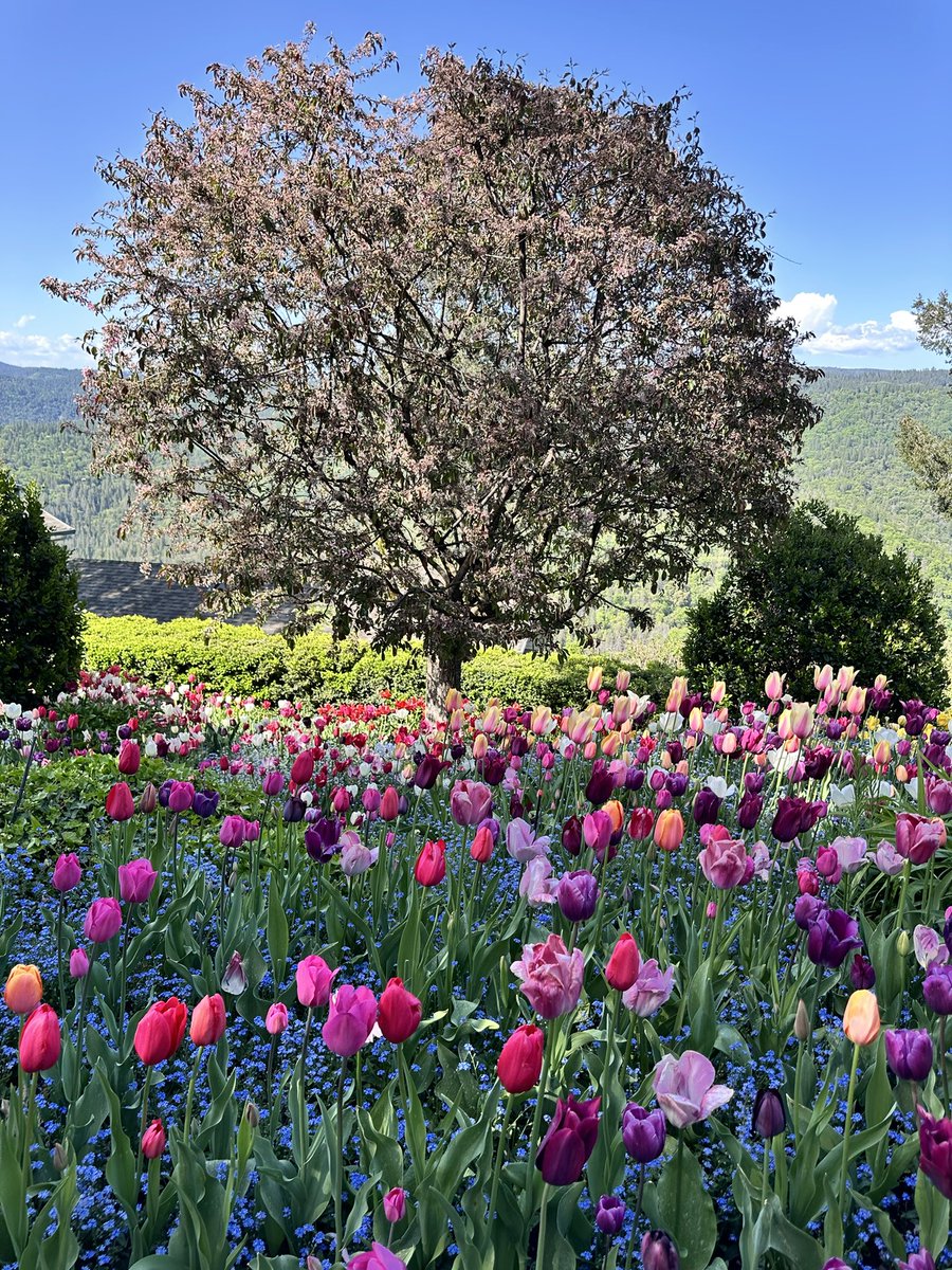 shestoasty's tweet image. Getting stoned🍃 and going here &amp;gt;&amp;gt;&amp;gt;