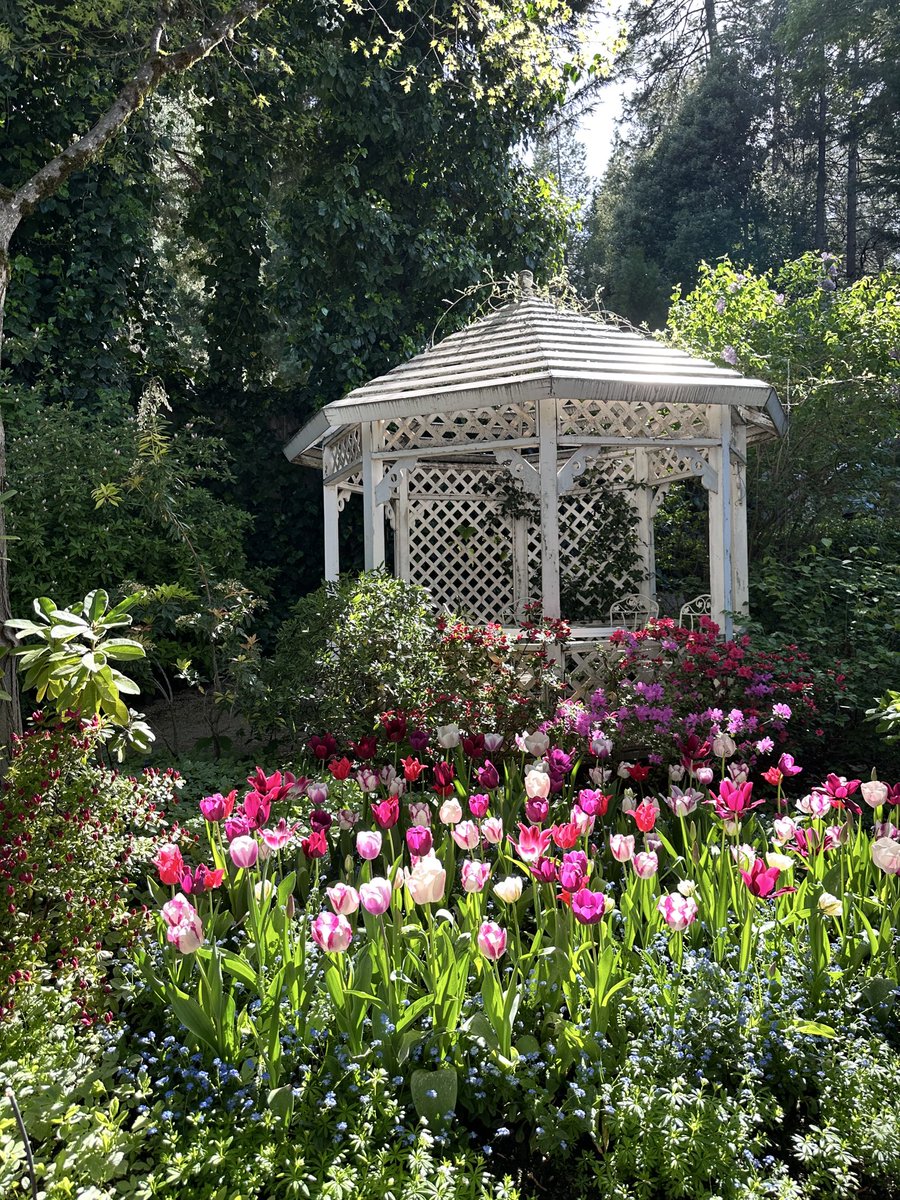 shestoasty's tweet image. Getting stoned🍃 and going here &amp;gt;&amp;gt;&amp;gt;