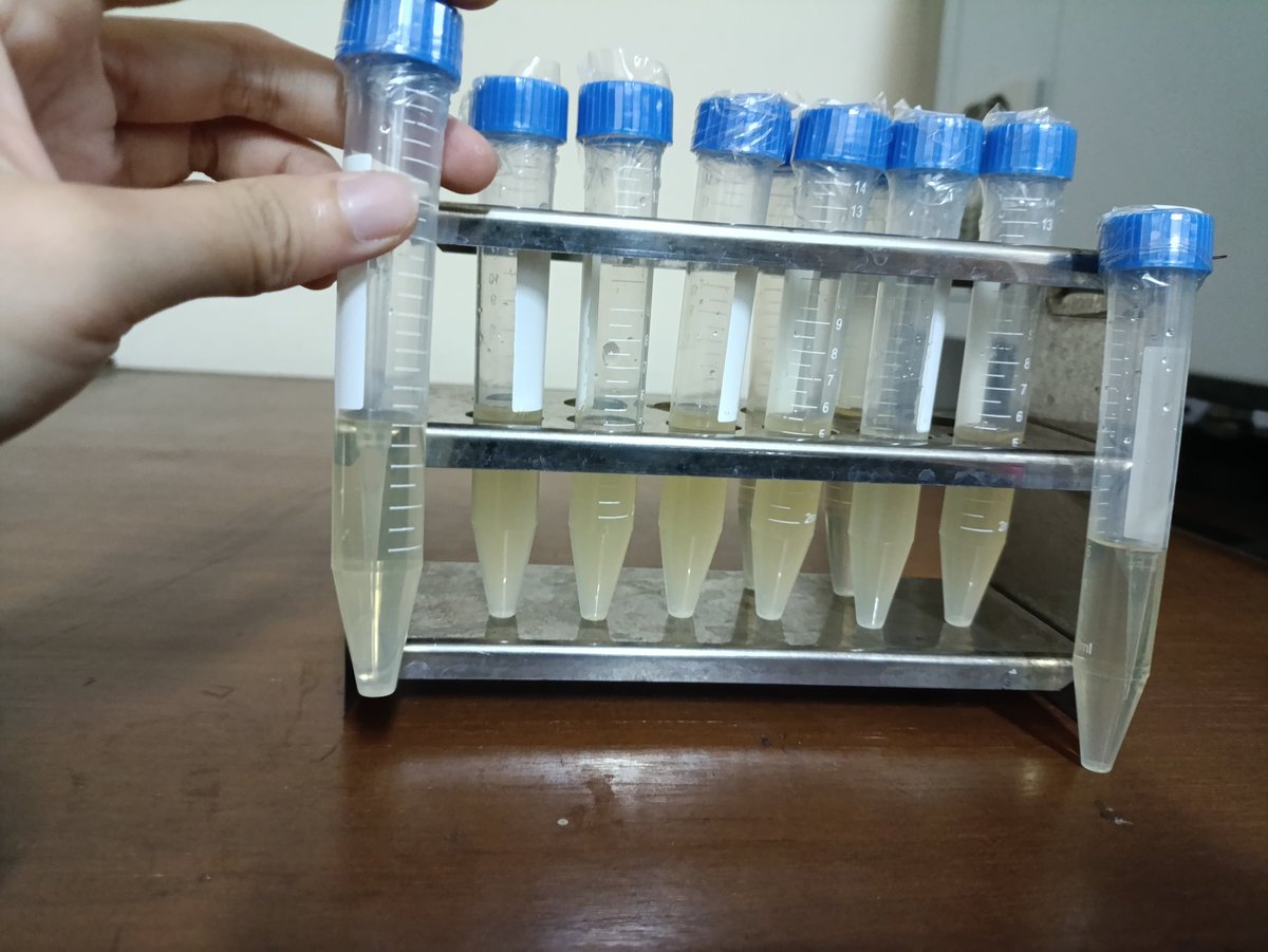 iGEM UGM 2025 tweet media