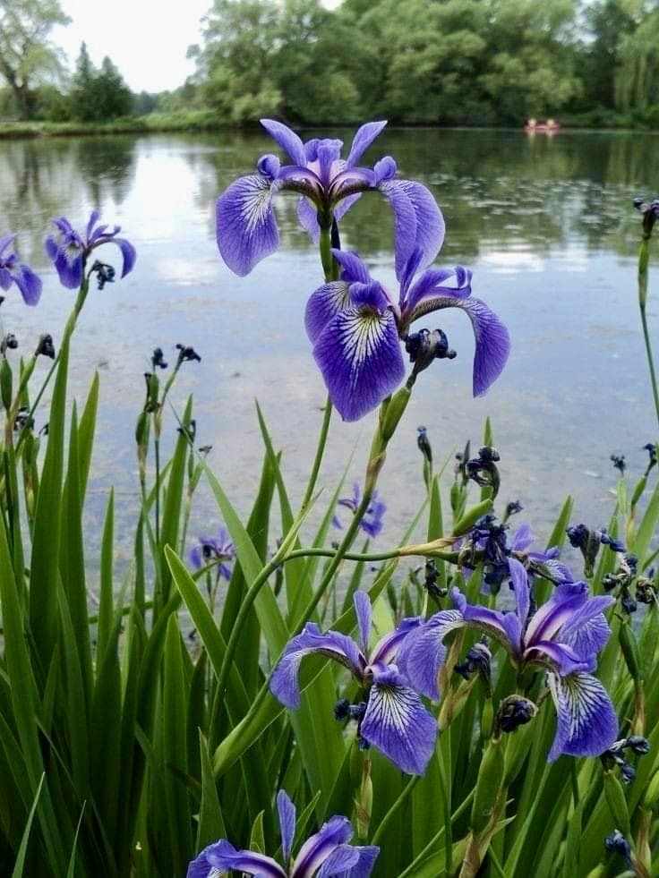 Wishing you a day full of sunny smiles and happy thoughts.🔙