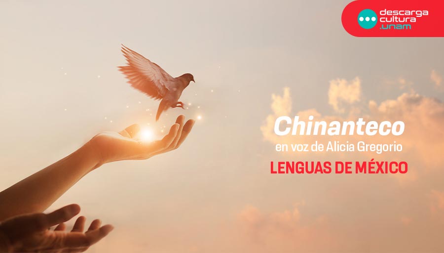 UNAM (@unam_mx) on Twitter photo Escucha poesía en chinanteco 🗣️ —lengua del grupo otomangue hablada en Oaxaca y Veracruz— que guarda una profunda conexión con la naturaleza. Con Alicia Gregorio, el canto de los grillos y el vuelo de las mariposas 🦋 llegan a <a href="/descargacultura/">Descarga Cultura.UNAM</a> > bit.ly/45kDl9M Escucha poesía en chinanteco 🗣️ —lengua del grupo otomangue hablada en Oaxaca y Veracruz— que guarda una profunda conexión con la naturaleza. Con Alicia Gregorio, el canto de los grillos y el vuelo de las mariposas 🦋 llegan a <a href="/descargacultura/">Descarga Cultura.UNAM</a> > bit.ly/45kDl9M
