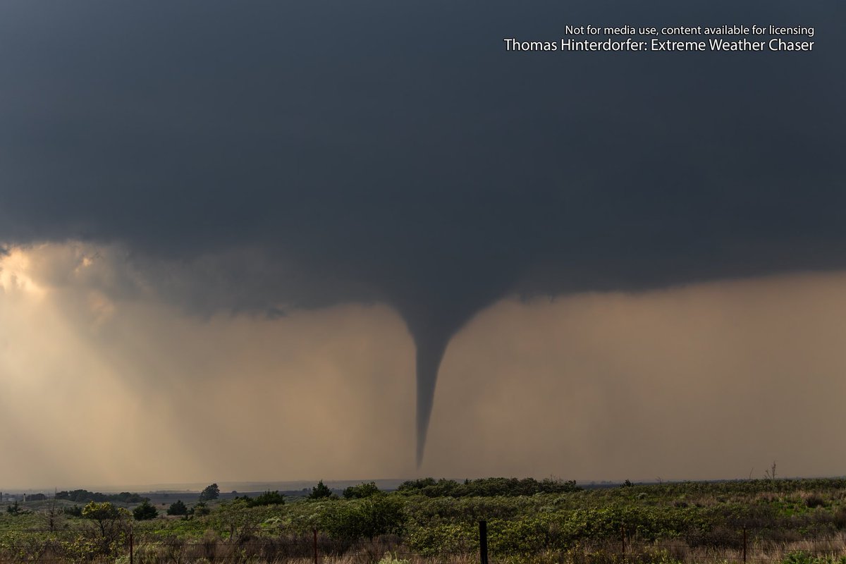 Thomas Hinterdorfer tweet media