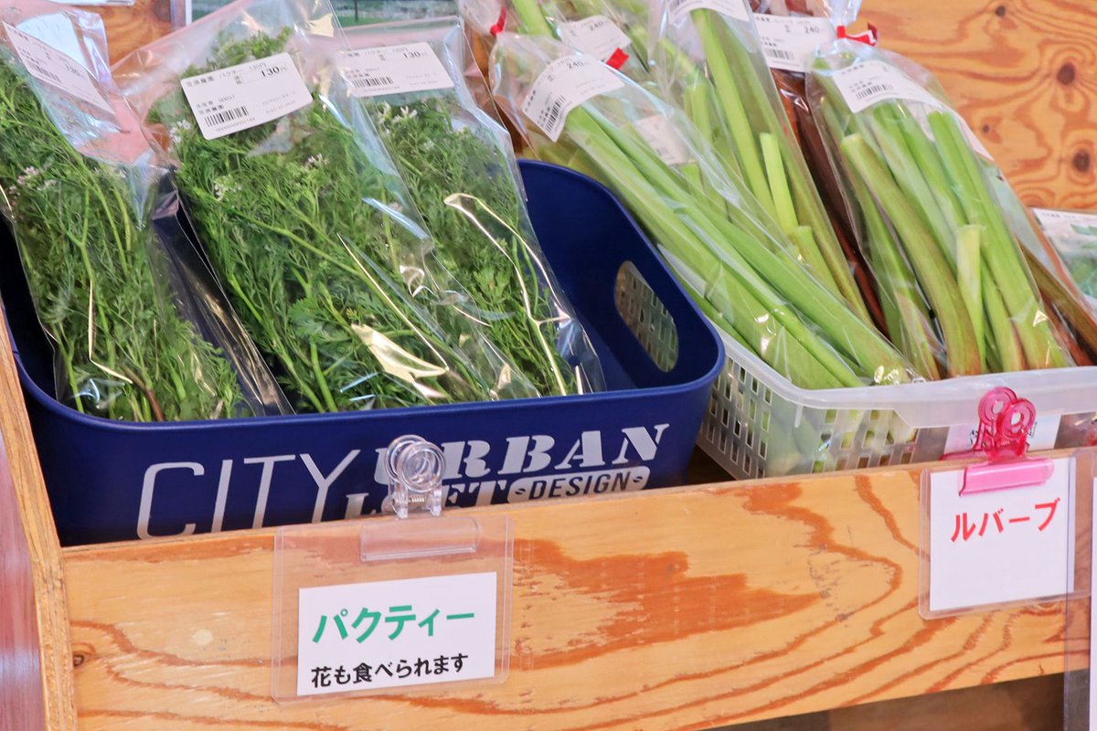 パクチー を 「パクティー」とも呼ぶのは 知りませんでした😲 #豆知識
