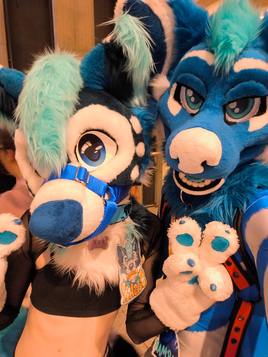 Finally home from FWA which was my first American con! 

It was absolutely amazing! Met so many great people and had such a good time! 🥰🤩

Hope to come again sometime! :3
<a href="/BropixWuff/">Bropix 🔜 FWA</a> <a href="/PhillySatark/">Philly</a>