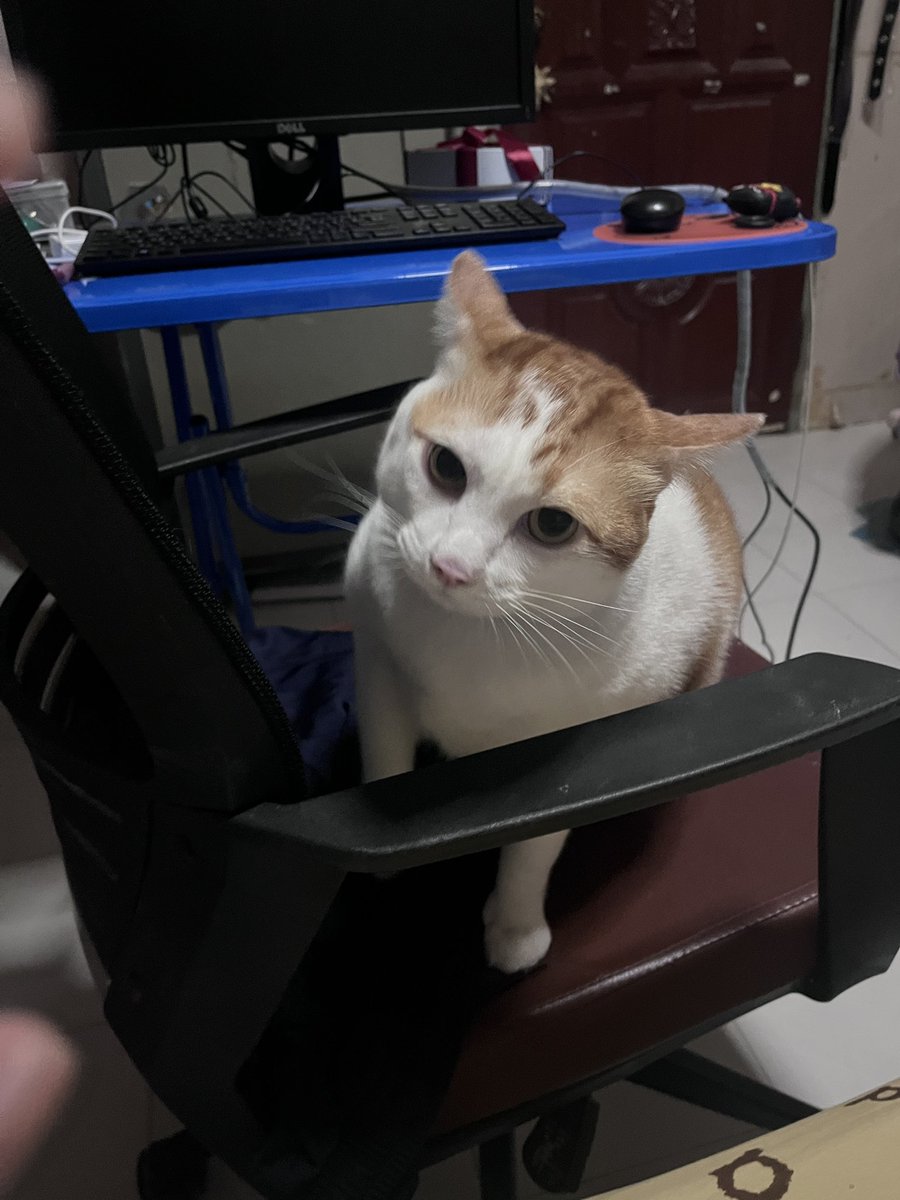 ต่อยได้มันต่อยแล้วค่ะ👊🏻😂 หูบินไปดาวอังคาร