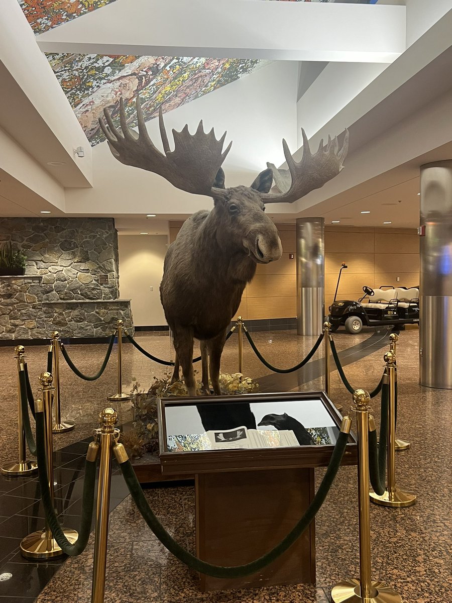 ST | Nyx tweet media