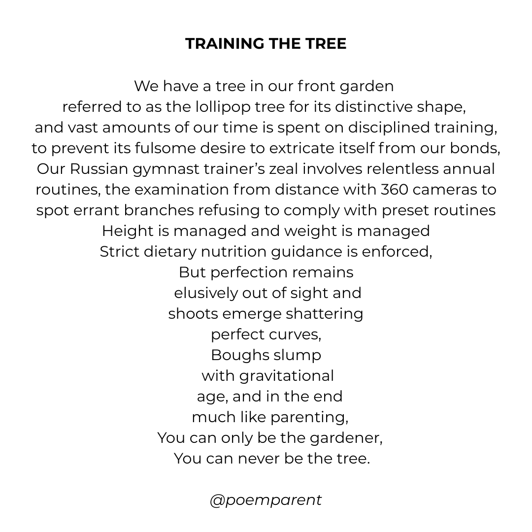 poemparent's tweet image. Sometimes some parental wisom emerges from the act of writing...or gardening.
#trees #lollipoptree #lollipoptrees #pruning #topiary #topiarytree #parentingtips #parentinglife #gardener #gardeners #poetry #poemoftheday #poemaday #poetrycommunity