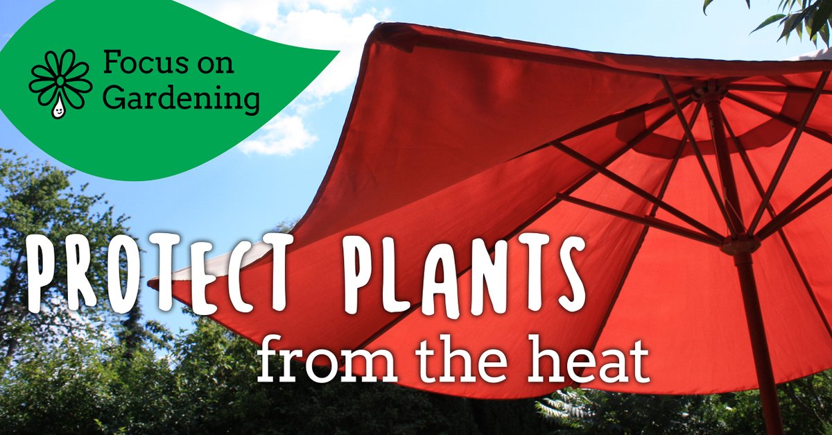 There are many ways to help your plants cope in dry weather, whether it's installing a sunshade or throwing a light fabric over them.

For more tips, visit brnw.ch/21wSKAY 

#WatersWorthSaving