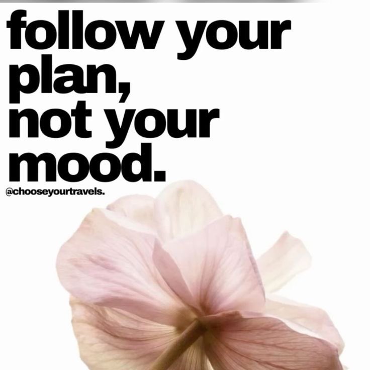 laxadd1ct's tweet image. Accountability Thread —-୧ ‧₊˚ 🥥 ⋅!!

𓂃˖ ࣪⊹
⤷ How I‘m gonna loose 3-4kg
        2 Weeks hardcore
            Daily Updates: Steps, cals, mood…               

Open thread for more info! ·˚ ༘

₊˚⊹౨ৎ #edtwt #2weekchallenge #loosesomeweight #ricecaketwt₊˚⊹