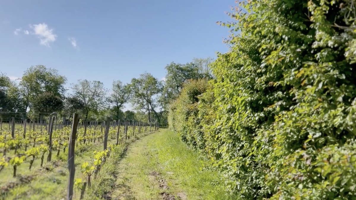 Découvrez le palmarès du festival <a href="/cameras_champs/">Caméras des Champs 🚜</a> 2025 qui s'est terminé hier !
👉 urls.fr/Xd6TQ6