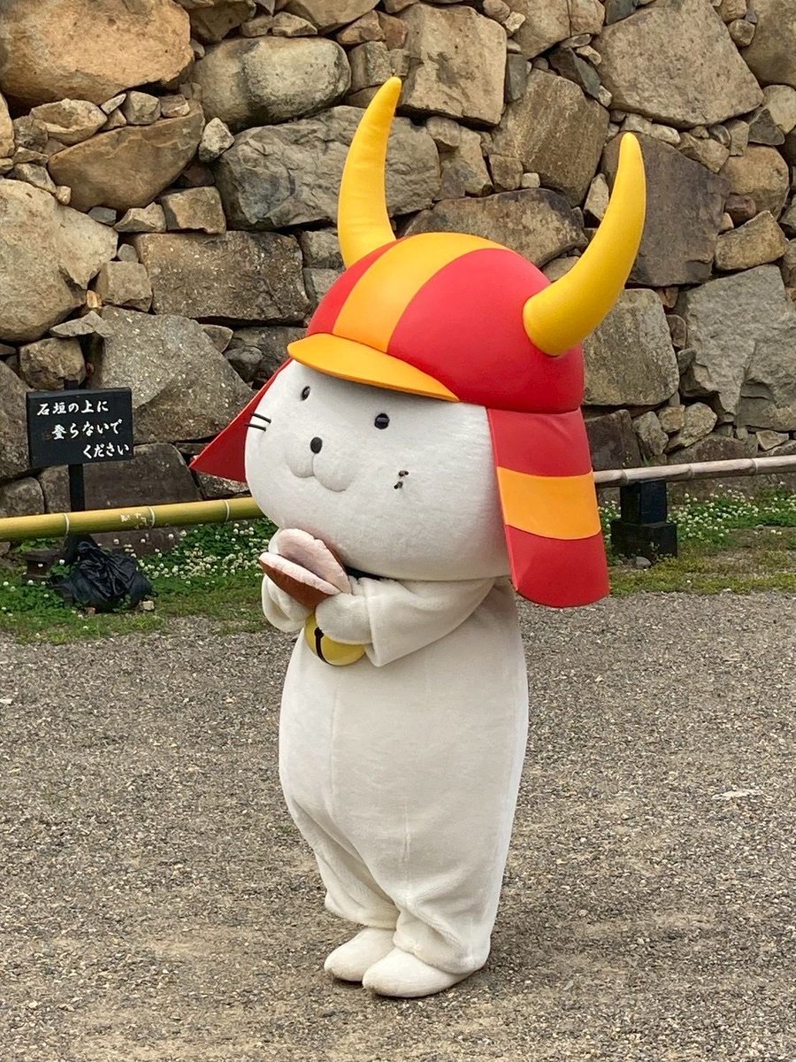 本日の #ひこにゃん 殿のおやつを紹介するでござる！！ 本日のおやつは