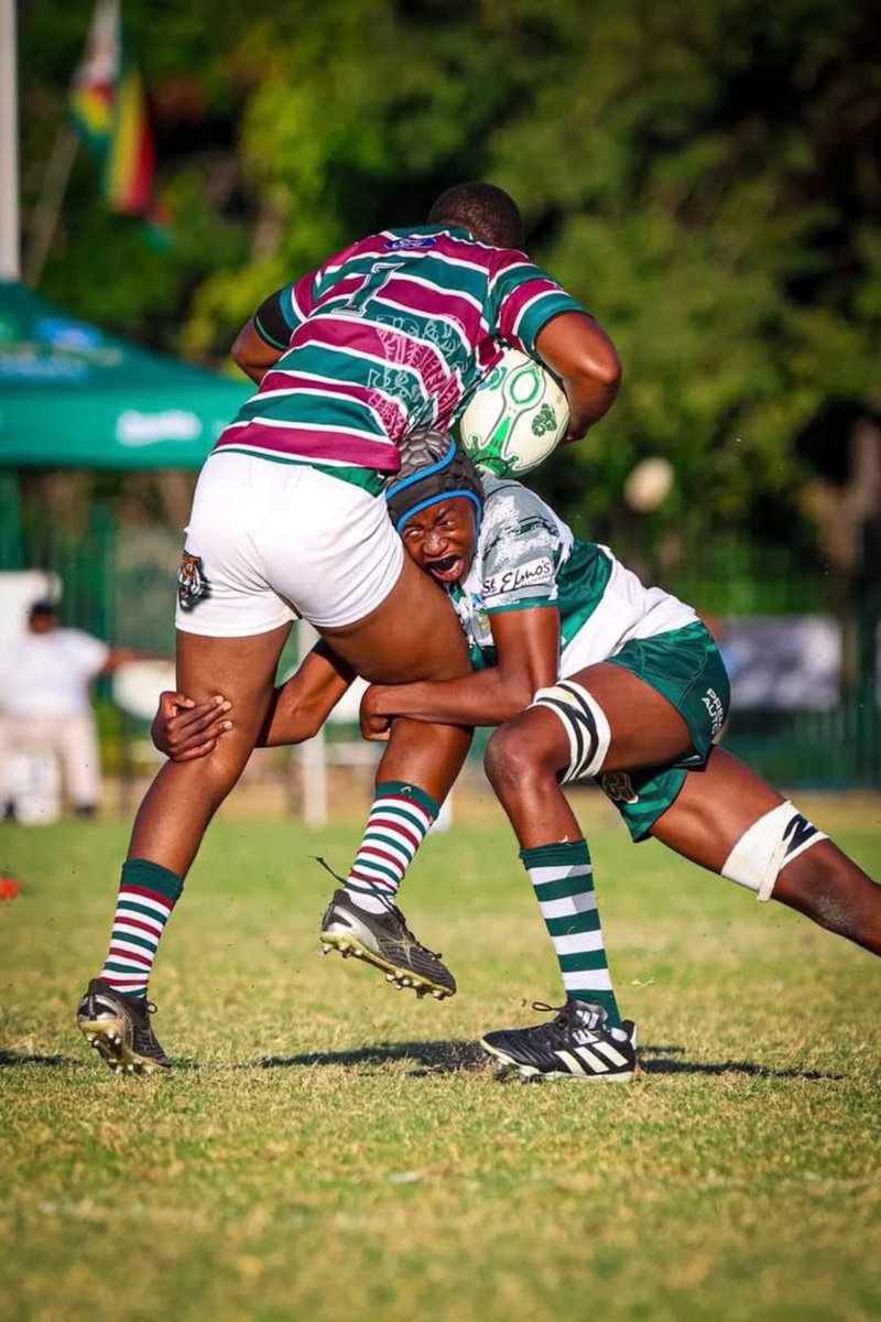 Prince Edward School tweet media