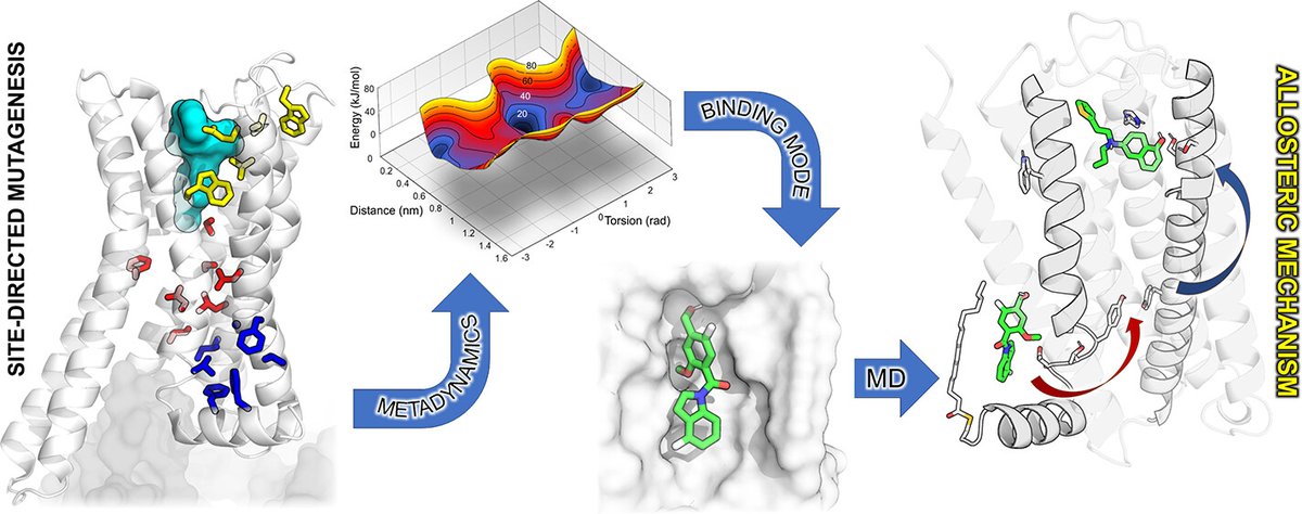 KAW (@kawstiftelsen) on Twitter photo Article: Identification of a Lipid-Exposed Extrahelical Binding Site for Positive Allosteric Modulators of the Dopamine D2 Receptor #research supported by Knut and Alice Wallenberg Foundation #KAW100 #Parkinsons #Dopamine <a href="/CarlssonLab/">CarlssonLab</a> <a href="/ACSPublications/">ACS Publications</a> tinyurl.com/ycxdkcum Article: Identification of a Lipid-Exposed Extrahelical Binding Site for Positive Allosteric Modulators of the Dopamine D2 Receptor #research supported by Knut and Alice Wallenberg Foundation #KAW100 #Parkinsons #Dopamine <a href="/CarlssonLab/">CarlssonLab</a> <a href="/ACSPublications/">ACS Publications</a> tinyurl.com/ycxdkcum