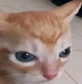 BOLIVIANOT28738's tweet photo. @JackRo_423 Cual vida pendeja si ni eres real XD https://t.co/CamOW8w38o