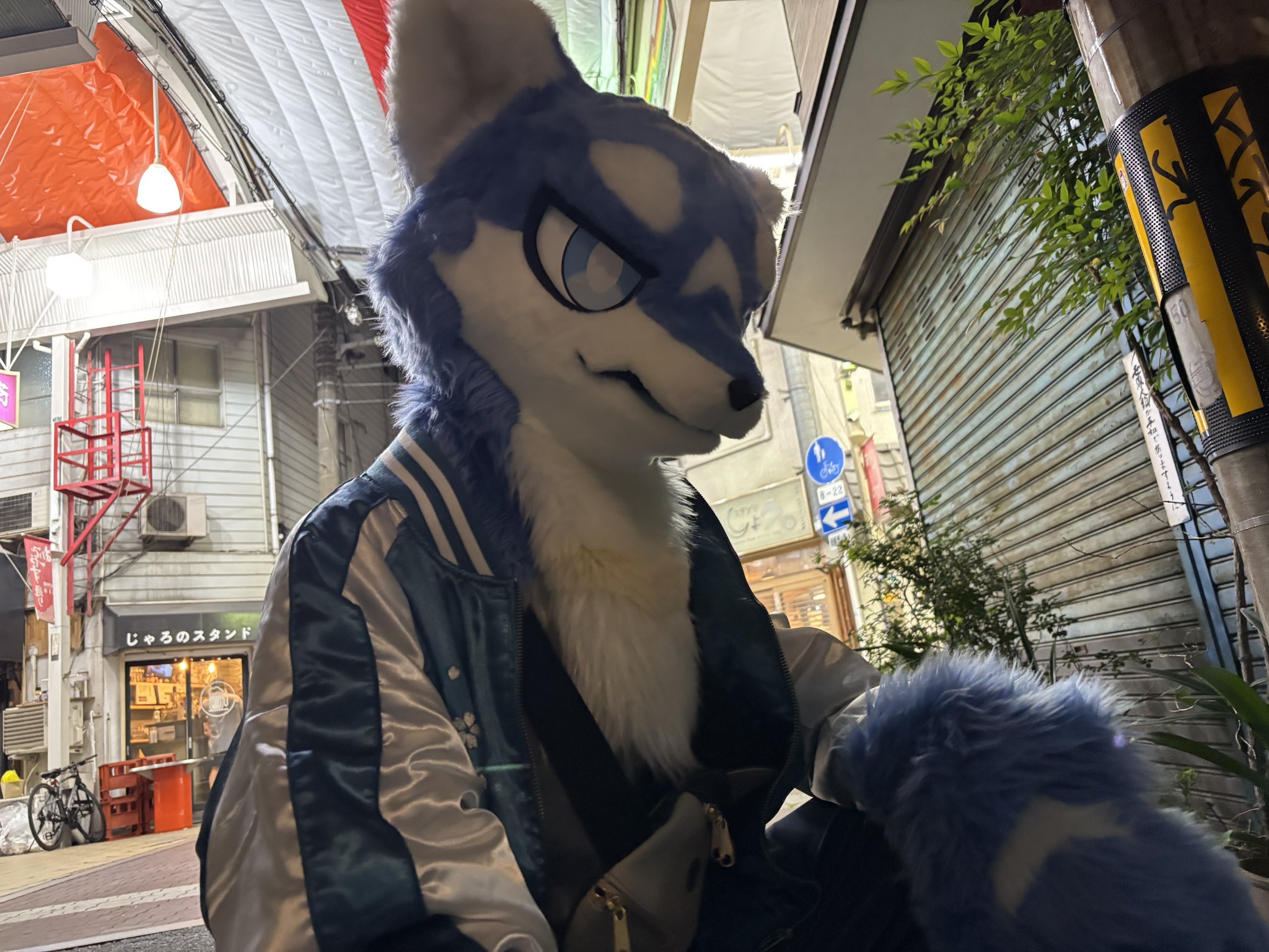 そらねこ* (@skycat_00) / X