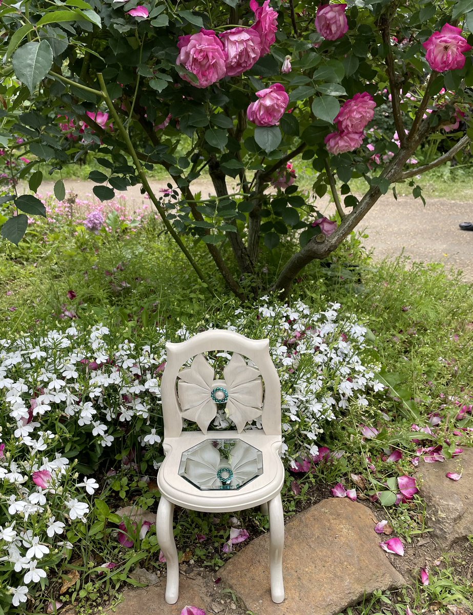 ドール家具の屋外撮影
🌹薔薇の季節バージョン❼おわり
🪑40㌢用椅子『しずく』&amp;『リボンに珠』
🪑今回の撮影では屋外で映える白系の2脚を使いました
#花菜ガーデン　神奈川県平塚市
🎀毎回見て頂きありがとうございました🥰
#アトリエTOUギャラリー フォロワーさんのステキ写真毎日更新