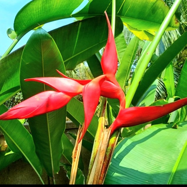 Moin ..
Wünsche allen einen guten Start in die neue Woche 👍🍀🥳🌞🌻😎