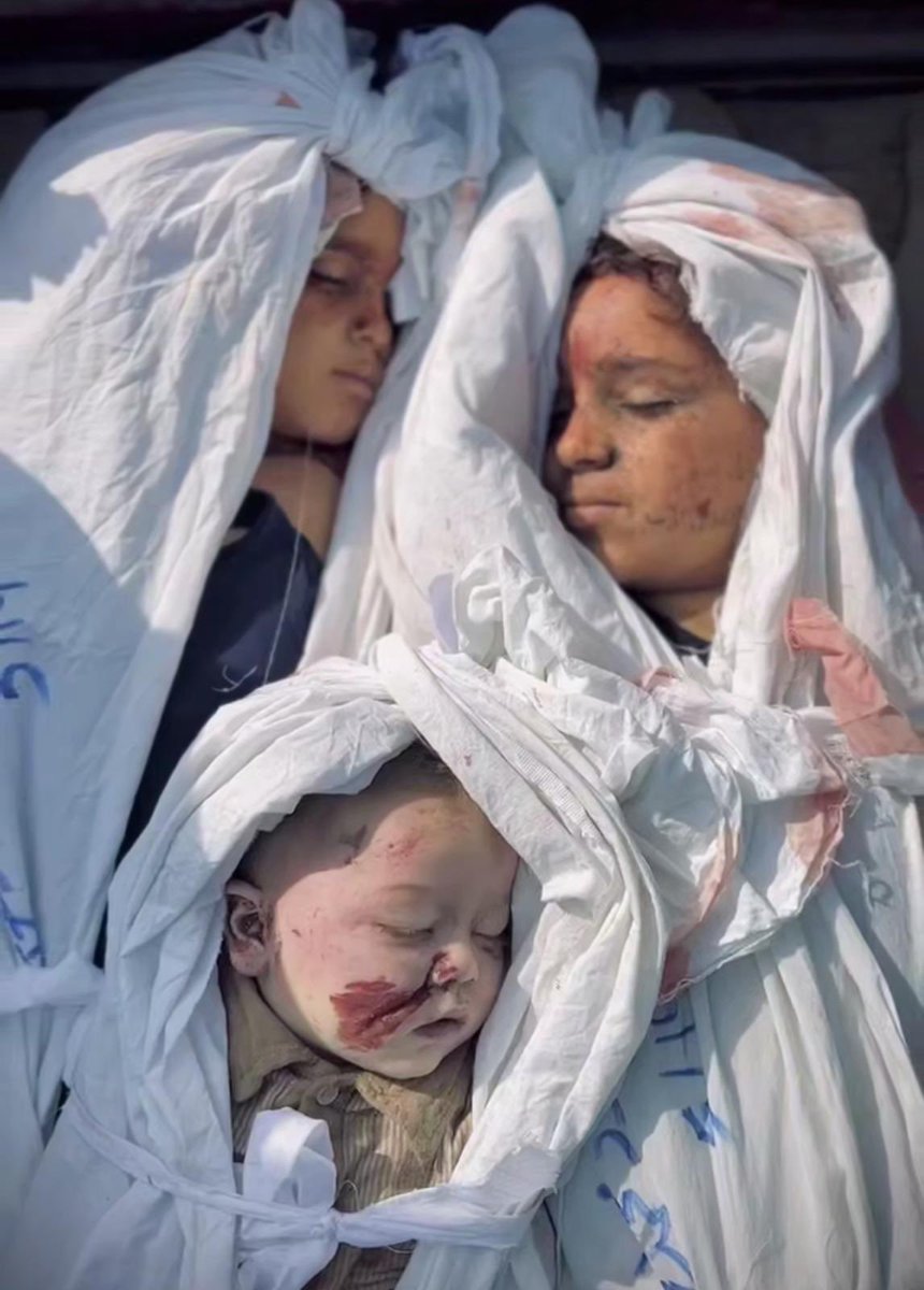 A. Muhammed Uludağ (@metamathician) on Twitter photo 