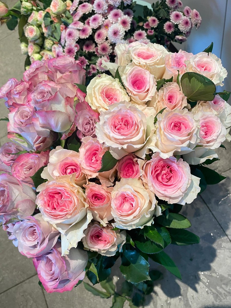 はぁ〜、見てるだけで疲れちゃう。
誰かこのお花たち、手伝ってくれないかなぁ〜。