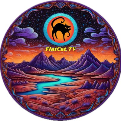 Flat Cat TV tweet media