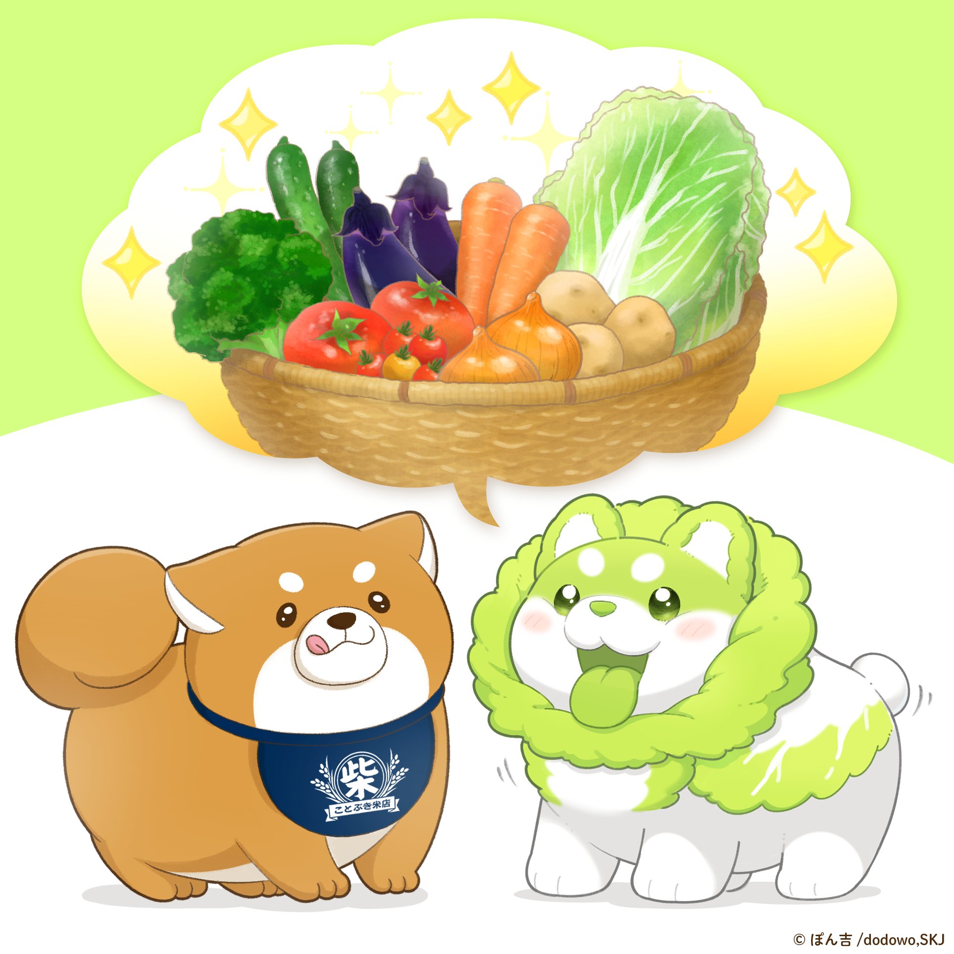 ぽんきち専用