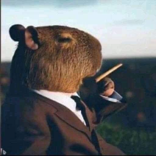 danfrex1_'s tweet image. 