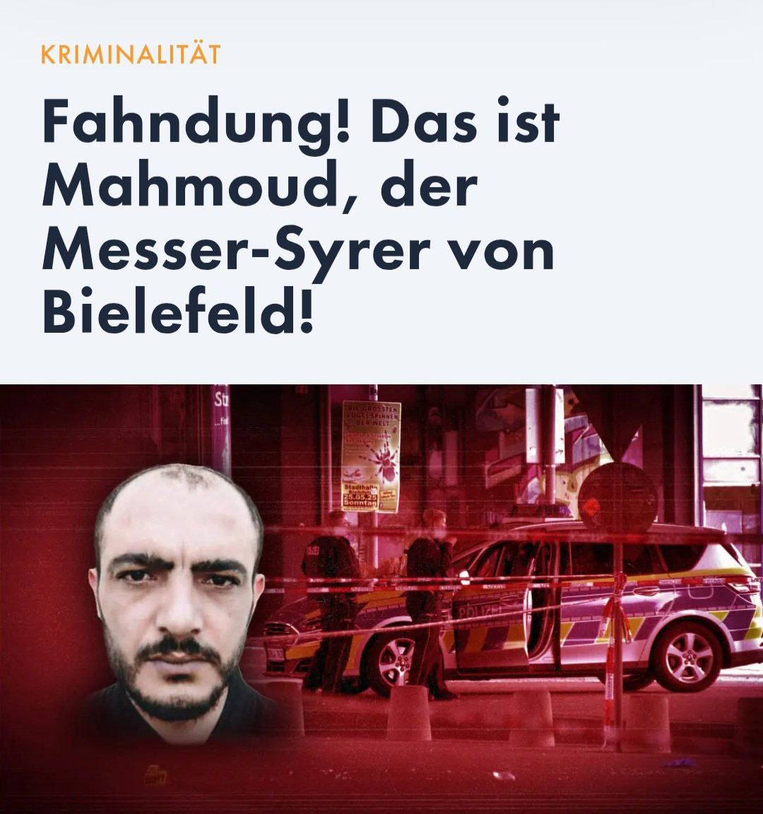 AfD #Teamheimat (@udo_voss) on Twitter photo 