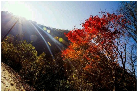 Erick Fitzpatrick (@efitz44) on Twitter photo 