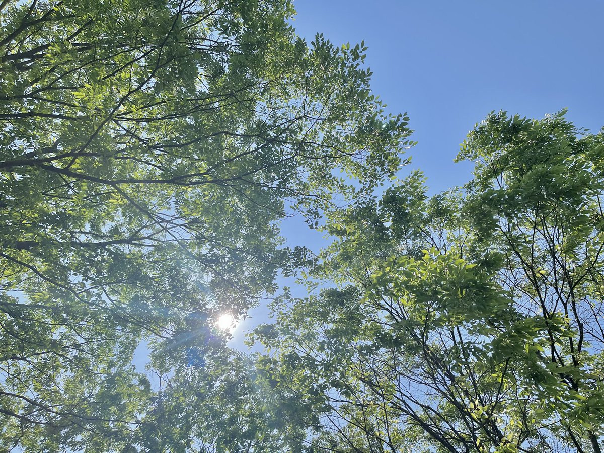 하루종일 머물고 싶은 독서 명소를 찾았다 .ᐟ.ᐟ