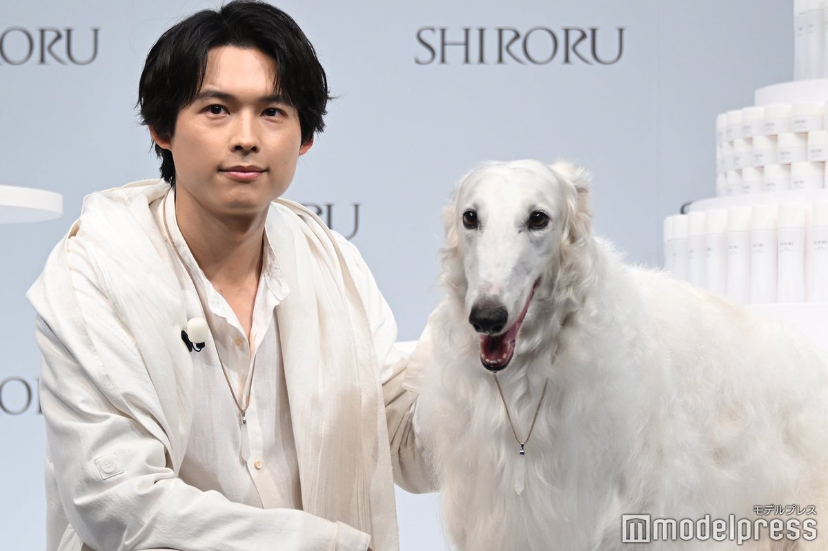 写真追加📸】SixTONES松村北斗 「SHIRORU」新CM発表会✨️ 相棒・ドン