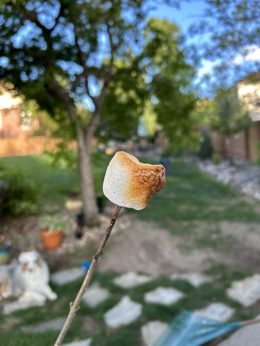 BethCavete's tweet image. Bye for now, Twitter…it’s Go time for business and homestead and all the people that arrive in summer, so I gotta go. I look forward to s’more later 👋🏻
