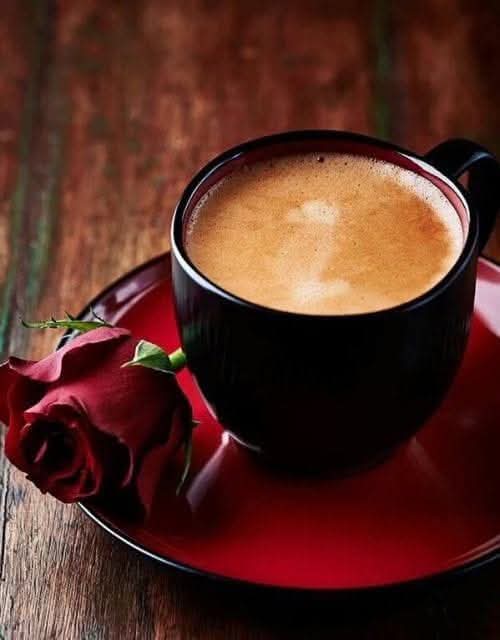 कोई है यहां जो हमे अच्छे से जानता हो ...❤️
_________🌹☕❤️
जो चाय को चाय नहीं अपनी जान मानता हो ...😁

 Good morning|| 

#DCvsGT  #KLRahul #JyotiMalhotra
#RRvsPBKS #MondayMotivation