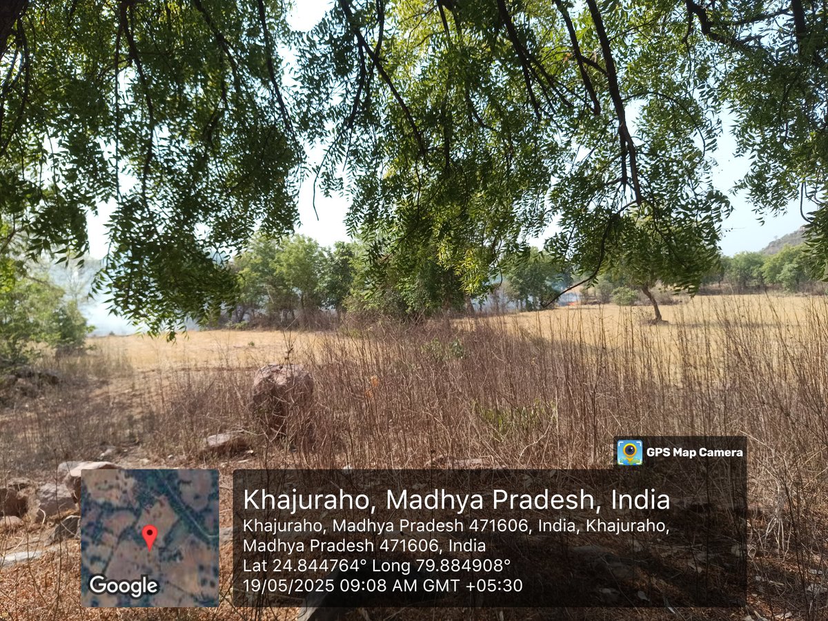 obcdevendra's tweet photo. राजनगर तहसील के अंतर्गत खर्रोही हल्का के खेतों में खेत मालिक नरवाई जला रहे है,
@collchhatarpur @PROJSChhatarpur @milinddeora https://t.co/fShMZepfDO