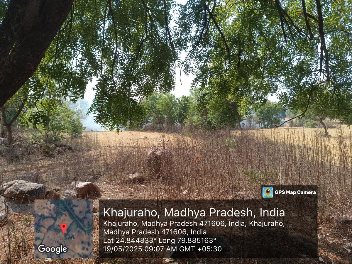राजनगर तहसील के अंतर्गत खर्रोही हल्का के खेतों में खेत मालिक नरवाई जला रहे है,
<a href="/collchhatarpur/">Collector Chhatarpur</a> <a href="/PROJSChhatarpur/">PRO JS Chhatarpur</a> <a href="/milinddeora/">Milind Deora | मिलिंद देवरा</a>