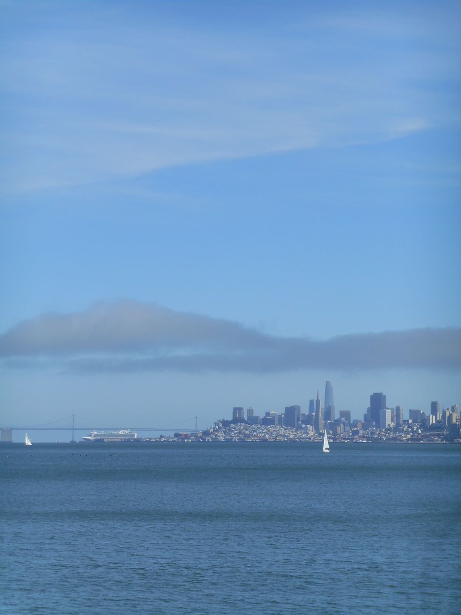 oliviazhg's tweet image. SF you are so beautiful &amp;lt;33