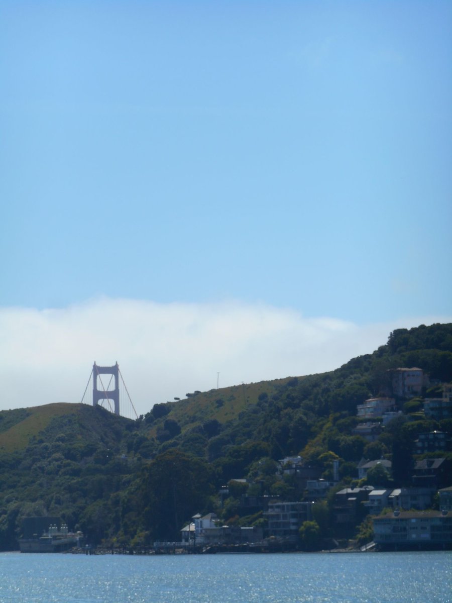 oliviazhg's tweet image. SF you are so beautiful &amp;lt;33
