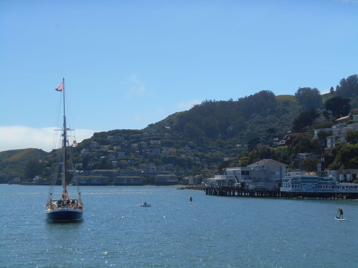 oliviazhg's tweet image. SF you are so beautiful &amp;lt;33